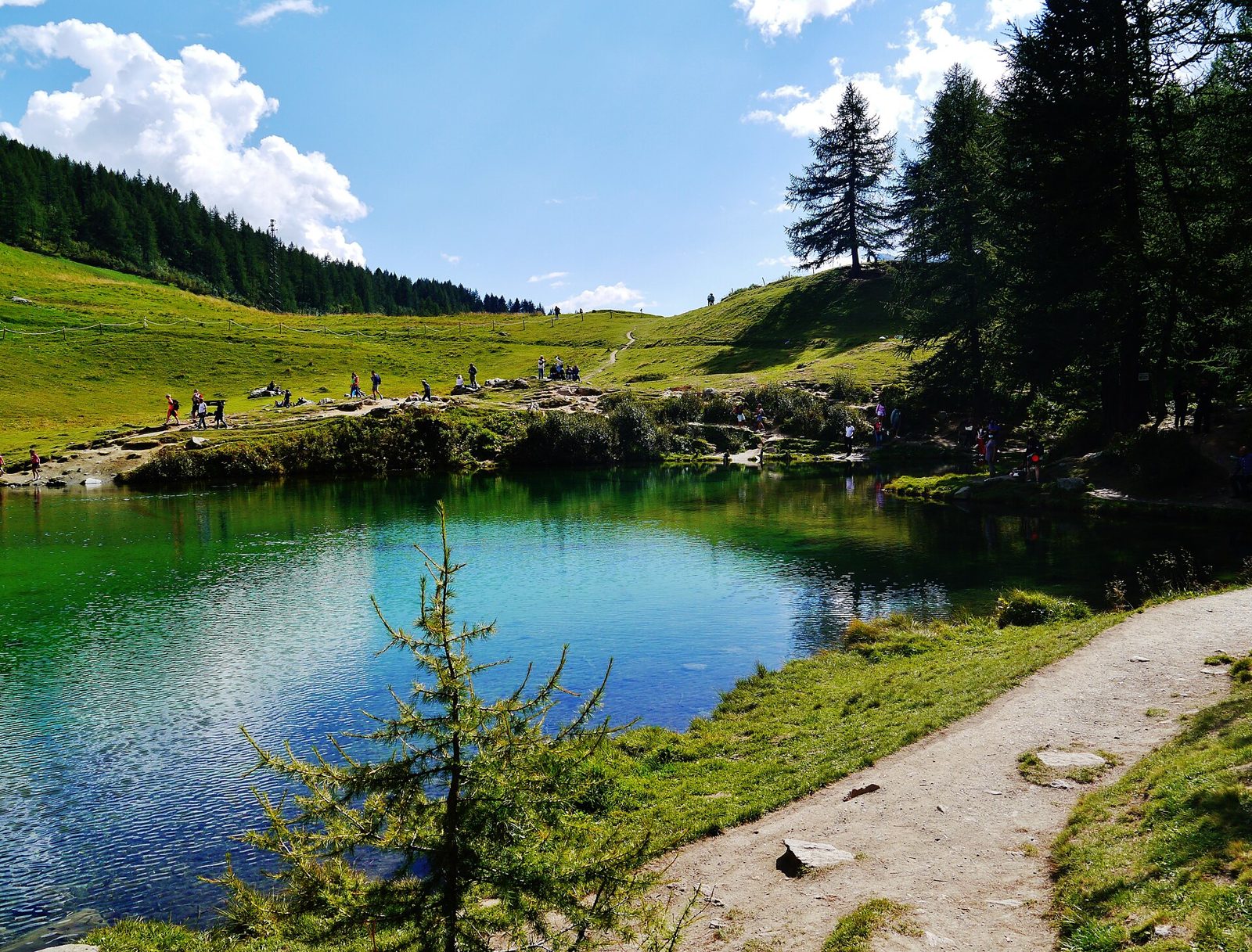 Il Lac Bleu in Valtournenche, laghetto alpino dalle acque turchesi tra prati e larici in una giornata estiva