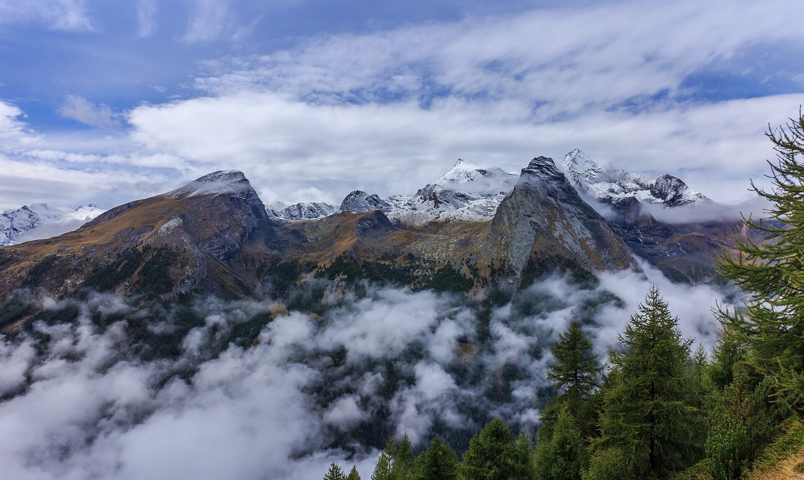 Cime innevate del Gran Paradiso tra nuvole basse e larici, viste da un sentiero sopra Cogne